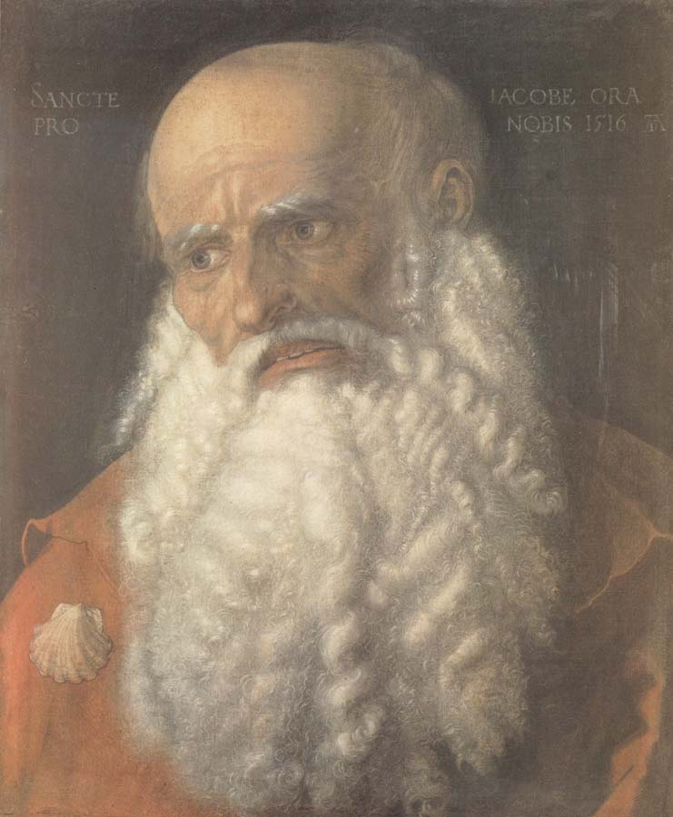 Albrecht Durer Head of the Apostle james